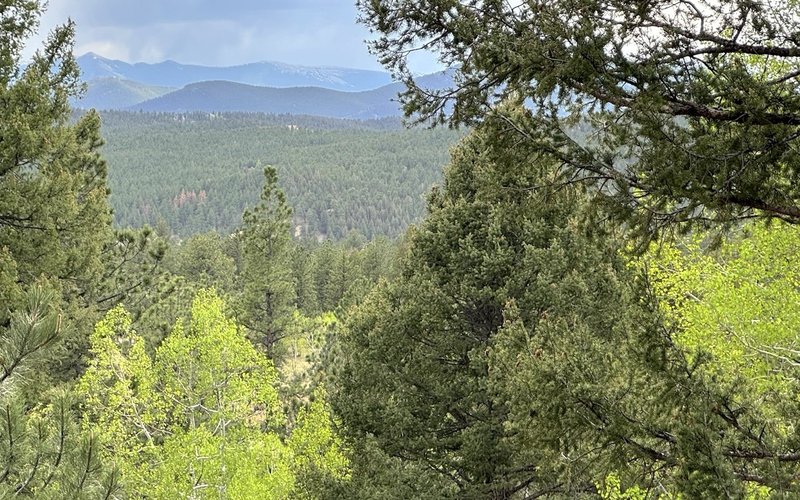 2026/05 - Staunton State Park, Colorado