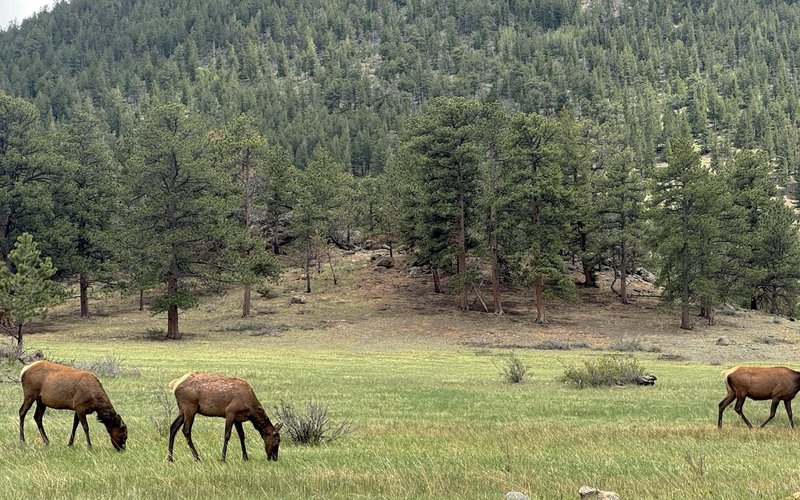 2026/06 - Rocky Mountain National Park, Colorado