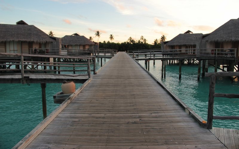 2104 - Maldives