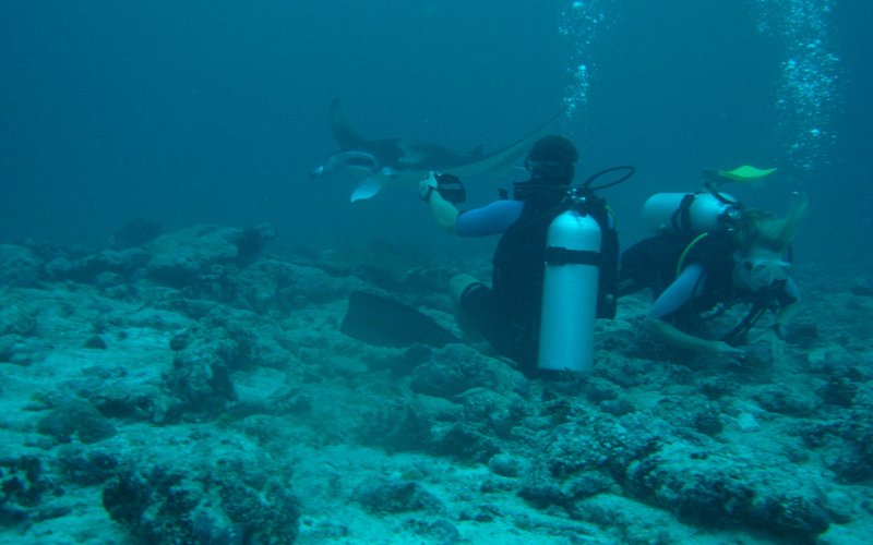 2014 - Maldives